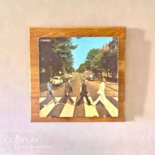 LP Record display Guisplay Lp Vinyls Records Storage Holder wall Hanger7